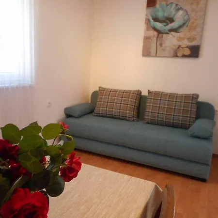With A Parking Space 12552 Guest house Vodice